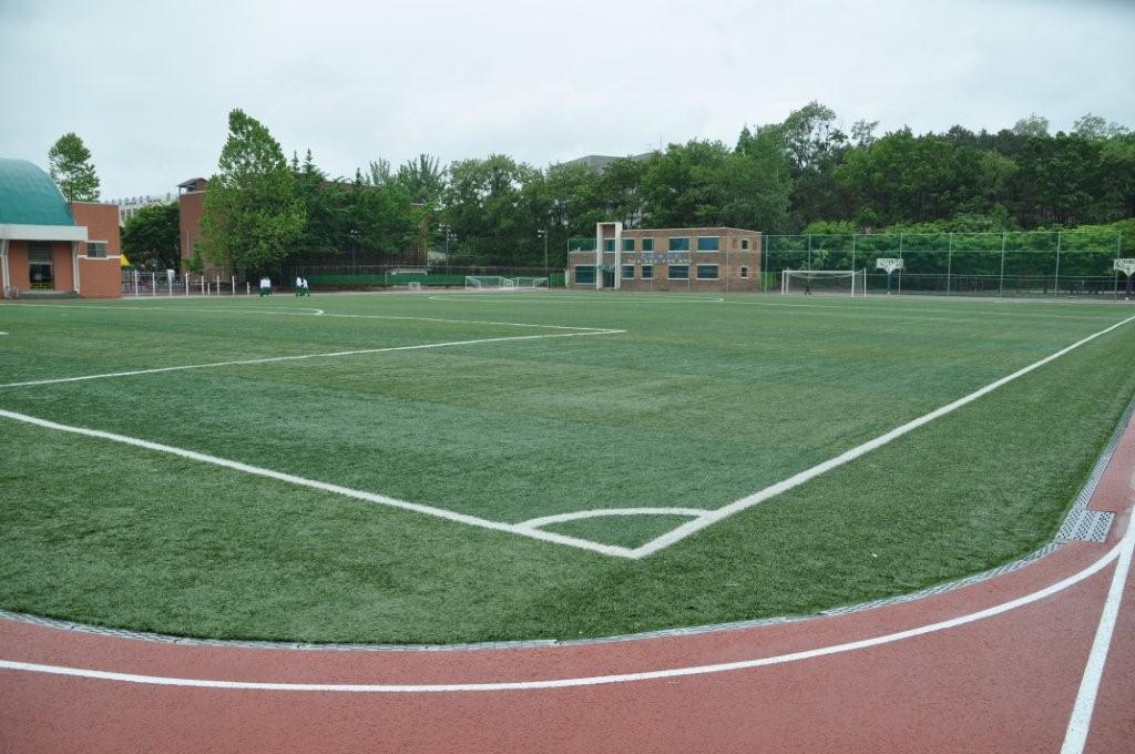 sportexe in korea