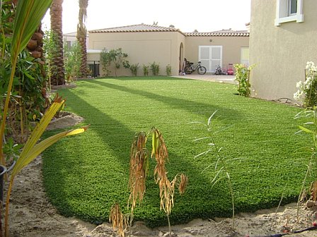 eaglelawn