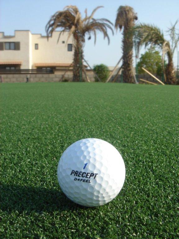 eagleturf golf greens artificial
