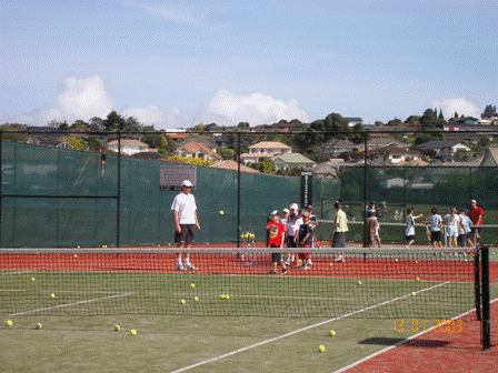 asi-court nz