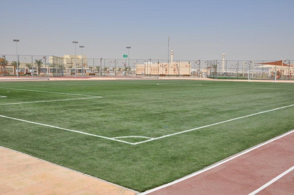 eagleturf