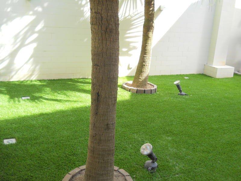 eaglelawn hong kong