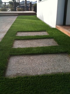 nz eaglelawn
